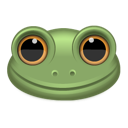 Frog animal