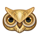 Owl animal