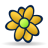 Flower icq