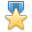 Winner gold star award