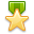 Gold winner star award