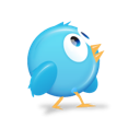 6 twitter bird