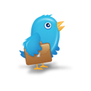 Twitter bird 3