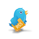 Twitter 1 bird