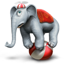 Circus elephant