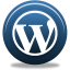 Network social wordpress