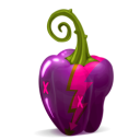 Paprika pepper