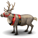 Reindeer