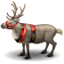 Reindeer