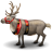 Reindeer