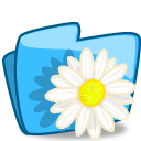 Folder flower camomile