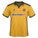 Wolverhampton wanderers