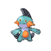 Marshtomp pokemon