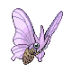 Venomoth