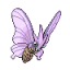 Venomoth