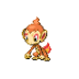 Chimchar