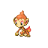 Chimchar