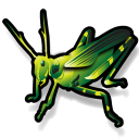 Grasshopper