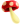 Mushroom forest