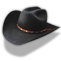 Hat cowboy black colt