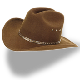 Hat cowboy brown