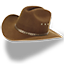 Hat cowboy brown