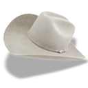 Hat cowboy white