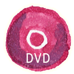 Dvd disk disc