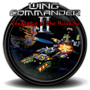 Wing commander