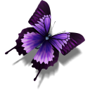 Butterfly other animal purple cat