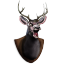 Deer head