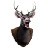 Deer head