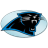 Panthers