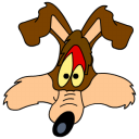 Wile coyote