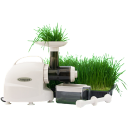 Compact wheatgrass juicer