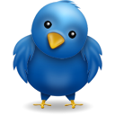 Bird blue twitter animal