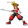 Sora valor form