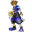 Sora wisdom form