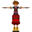 Sora limit form