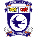 Cardiff town city