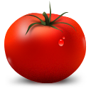 Tomato fruit vegetable