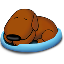 Sleeping old hound dog pet bird animal