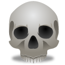 Skull wing smile icon