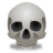 Skull wing smile icon