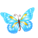 Butterfly blue animal