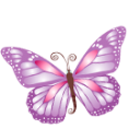 Purple butterfly animal emoticons hello kitty