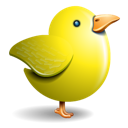 Chicken bird twitter animal