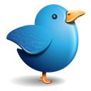 Twitter bird