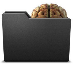 Brain folder