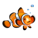 Clown fish nemo fish